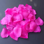 FUCHSIA rose petal - 100/pk